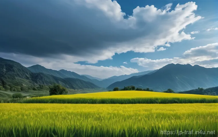 교통관련 직종과 공학적 접근 관련 이미지 1